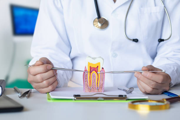 Best Weekend Emergency Dentist in Bethlehem, NC